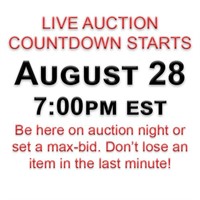 AUCTION DETAILS