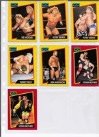 (24) WCW & Boxing Trading Cards