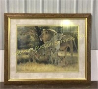 Framed Lion Wall Picture Dino Paravano is the