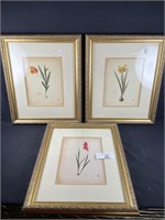 Lot of 3 Framed Floral Prints