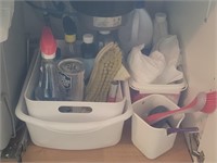 Group of under-the-sink cleaning supplies