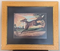 Framed Signed Artwork of a fox. Measures