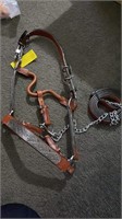 (Private) YEARLING SHOW HALTER