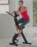 Soozier Foldable Exercise Bike Upright