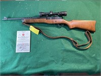 Ruger Mini-14 Ranch 223