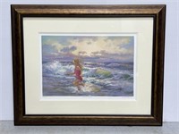 Free As A Bird framed & signed numbered print