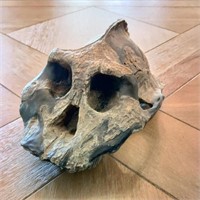 Jawless Bone Clone Skull