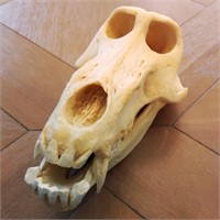 Accoutrements Animal Skull Model