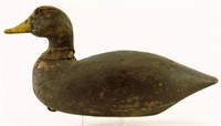 Lot #3113 - Unknown Black duck