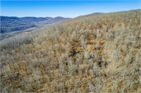 249+/- Acres with Timber - Dry Hollow