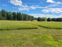 Acreage 38.75 +/- Clear, Wooded w/ easement