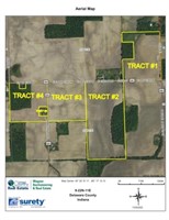 Delaware & Blackford Co. Indiana Land Auction