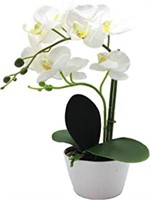 Artificaial Orchid Plant