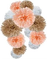 Paper Flower Tissue Pom Poms Craft