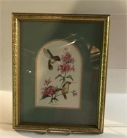 Hummingbird  Hummer Framed Art Print