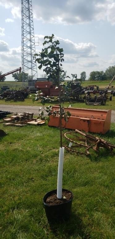 September 10, 2022 Machinery Consignment Auction