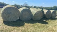 10 Round Bales of Grass Hay