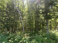 18.92 +/- Acres Hunting/Rec/Buildable Land