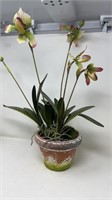 Silk Flower Orchid Pot