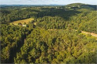 Wooded Land for Sale in Floyd VA
