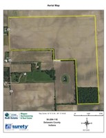 Eastern Delaware Co. Indiana Land Auction
