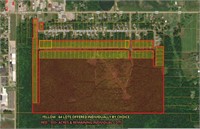103 Acre Land Parcel & Remaining Lots # (32-59)