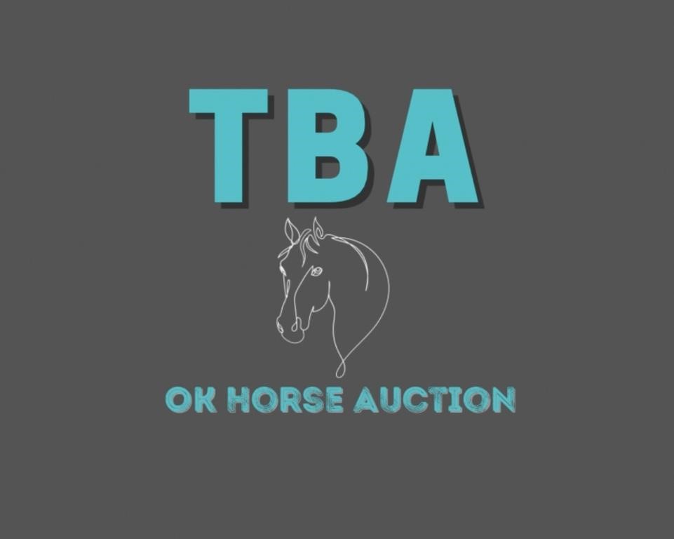 OK Horse Auction- Special Gelding Session