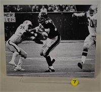 Franco Harris Immaculate Reception