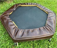 TrampolKing Small Exercise Trampoline