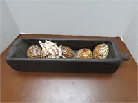 Tiger Cowry Seashells