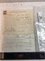 US CIVIL WAR WIDOW'S RELIEF APPLICATION