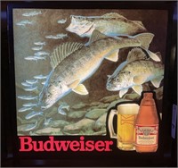Lighted Budweiser walleye sign 18“ x 18“