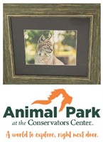 Animal Park Tickets and Frame Print