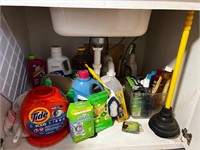 Miscellaneous under sink cabinet