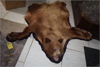 COLORED BLACK BEAR RUG FROM MANITOBA, CANADA