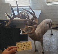 58" tall cast aluminum 17pt stag deer looking fwd