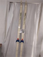 Pair of glass fiber T53 skis