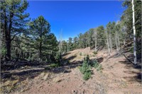 Beautiful 4.24 acre lot in the Colorado for sale