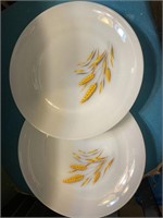 Set of 2 Fire king plates