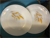 Set of 2 Fire king plates
