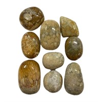 Lot Of Genuine Fossil Stone (tumbled)