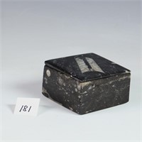 Fosilized stone trinket box