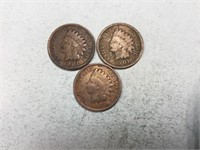Three 1901 Indian head cents
