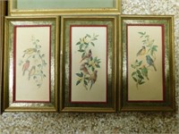 Gold Frame Bird Pictures