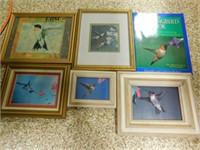 Hummingbird Framed Pictures & Book