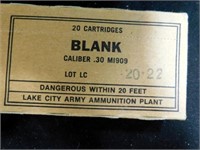 Blank .30 Caliber