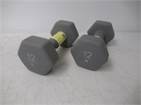 (2) All In Motion 12lbs Dumbbells