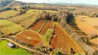 Open Pasture Land for Sale in Floyd VA