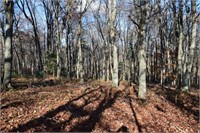 Offering 4 - 47.91 Acres