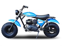 TrailMaster MB200-2 Mini Bike- Blue